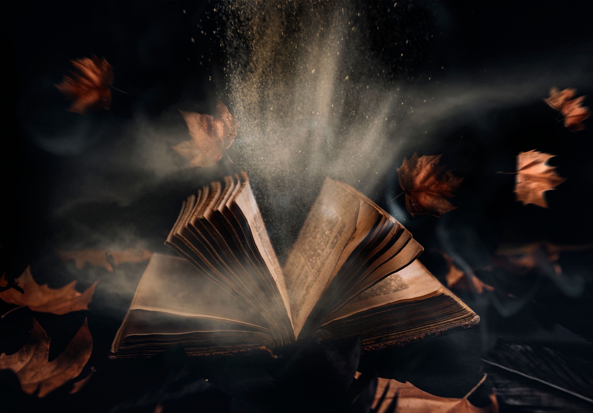 Open magic book with flying autumn leaves and raven black feathers and glowing magical light. Halloween night season background poster. Witchcraft, spell, wizard and fantasy concept.
